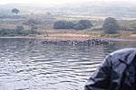 loch-awe-XVIII-s.jpg - 5504 Bytes